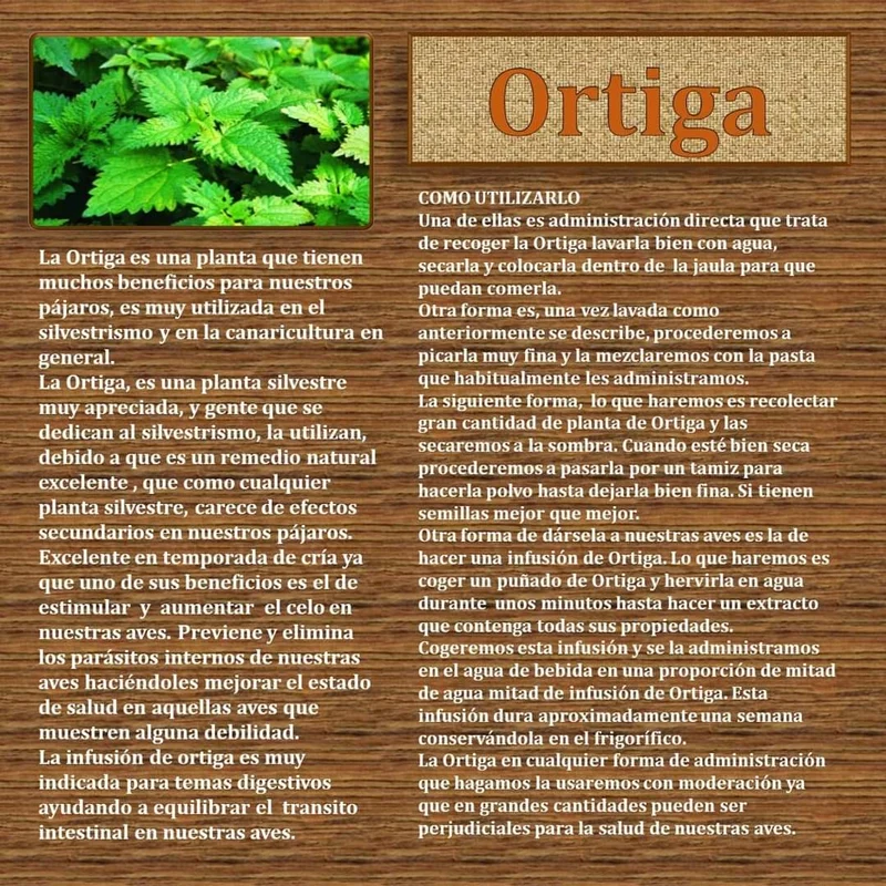 ORTICA Brennnessel in Pulverform 150 Gramm - Pineta Zootecnisi