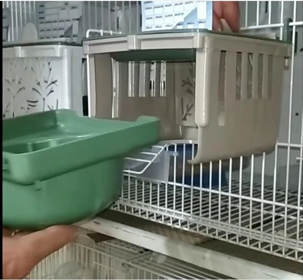 Dubai Nest 12cm - Moldes Ave
