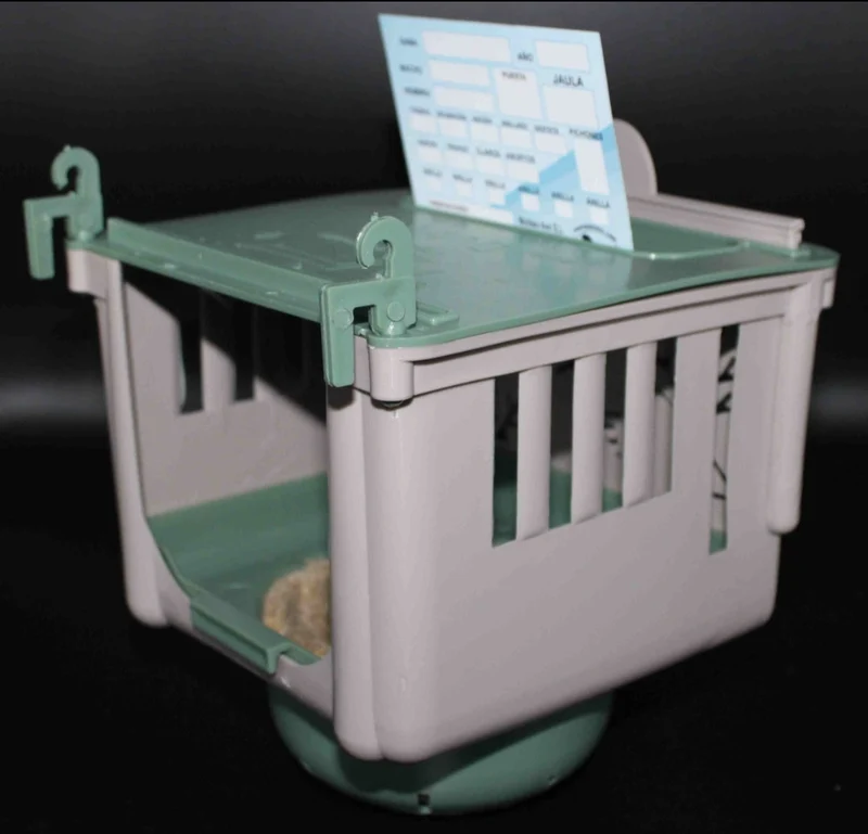 Dubai Nest 12cm - Moldes Ave
