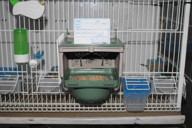 Dubai Nest 12cm - Moldes Ave