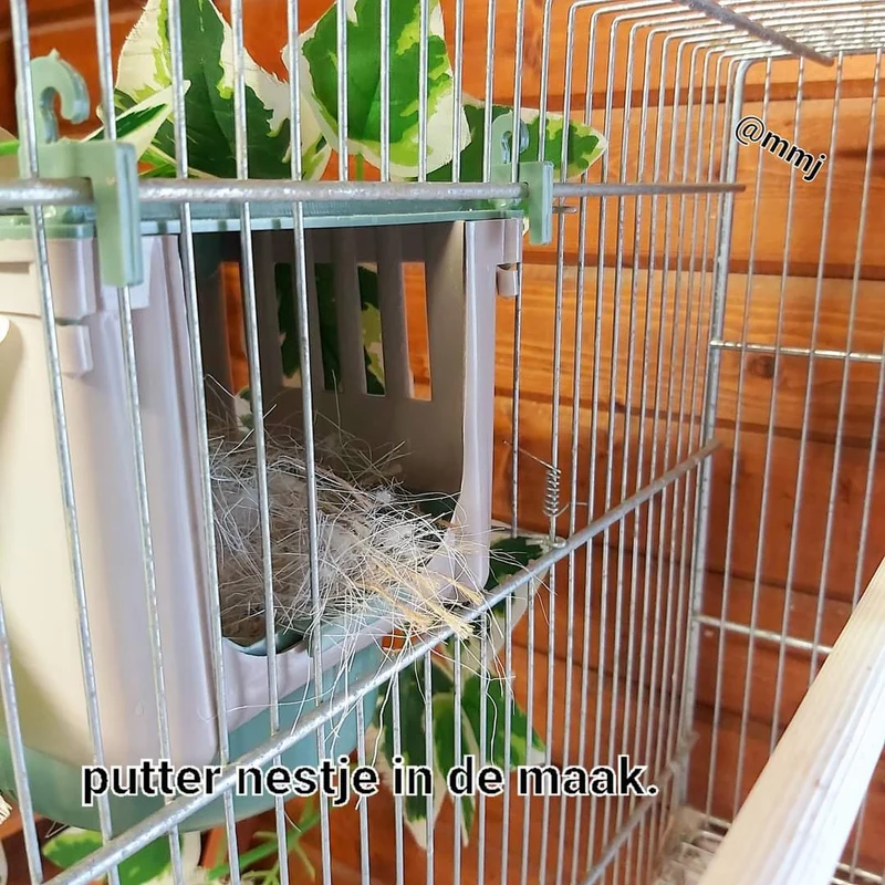 Dubai Nest 10cm - Moldes Ave
