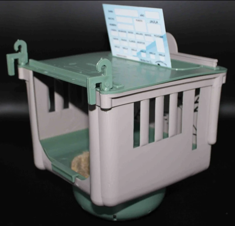 Dubai Nest 10cm - Moldes Ave