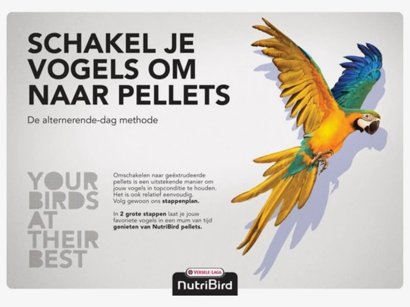 Nutribird C19 Kanarien-Erhaltungsfutter 10 kg – Versele Laga – Alternative Perle Morbide