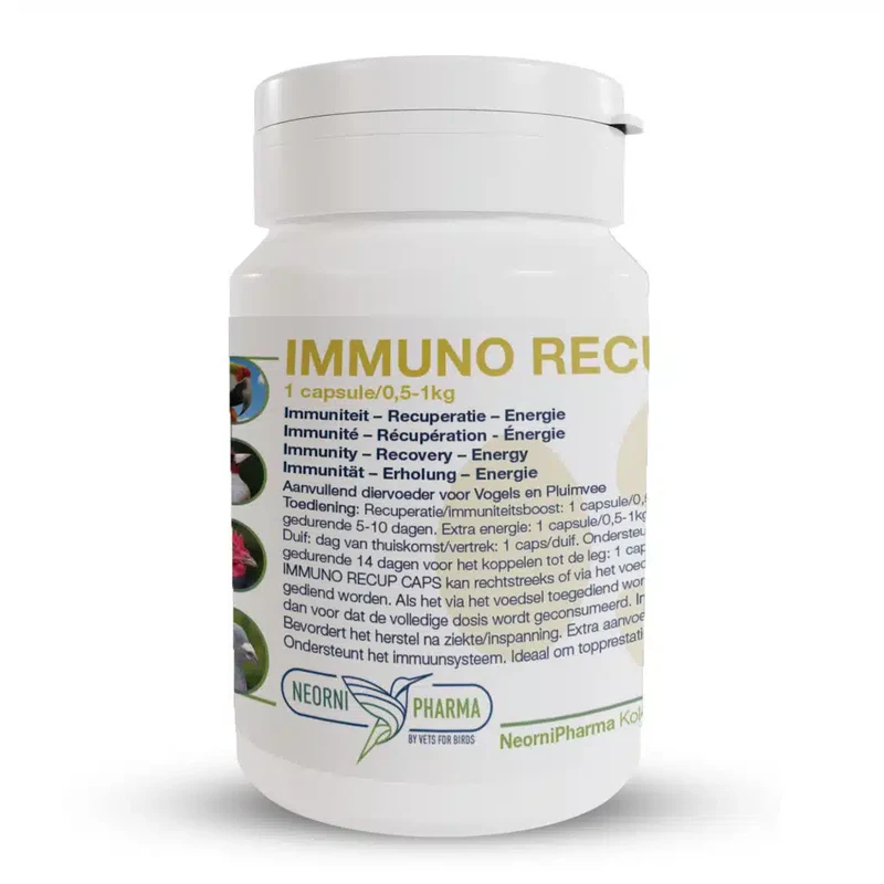 Immuno Recup Caps 100 Kapseln - Neornipharma (auf Bestellung)