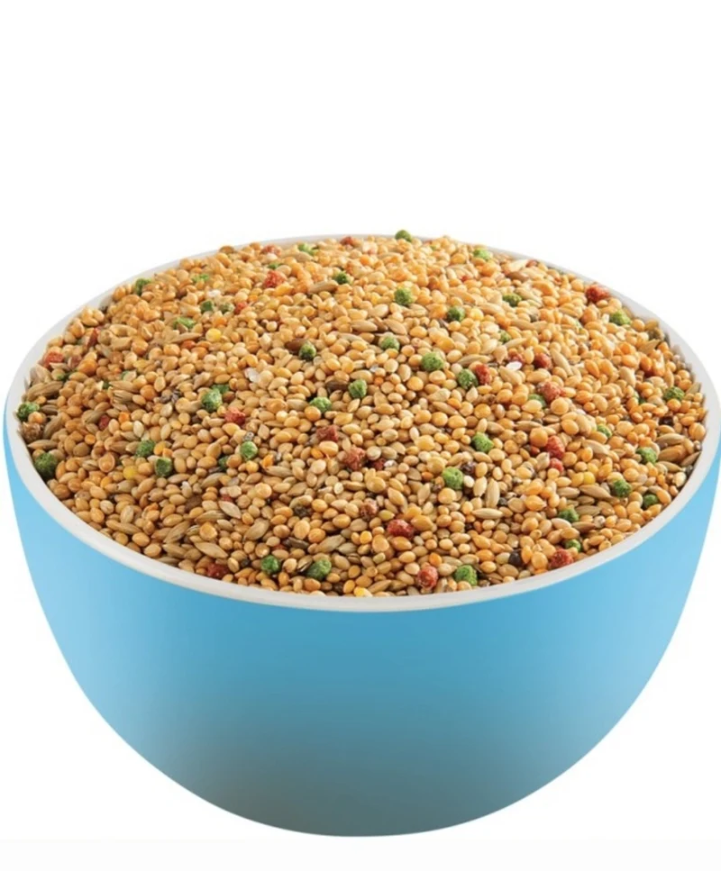 Prestige Premium Tropenvögel 800 Gramm