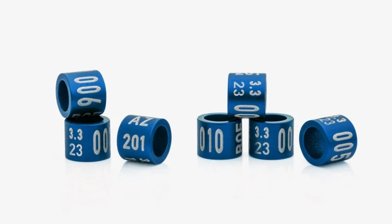 Geschlossene Jahresringe 2023 - 4.5 mm