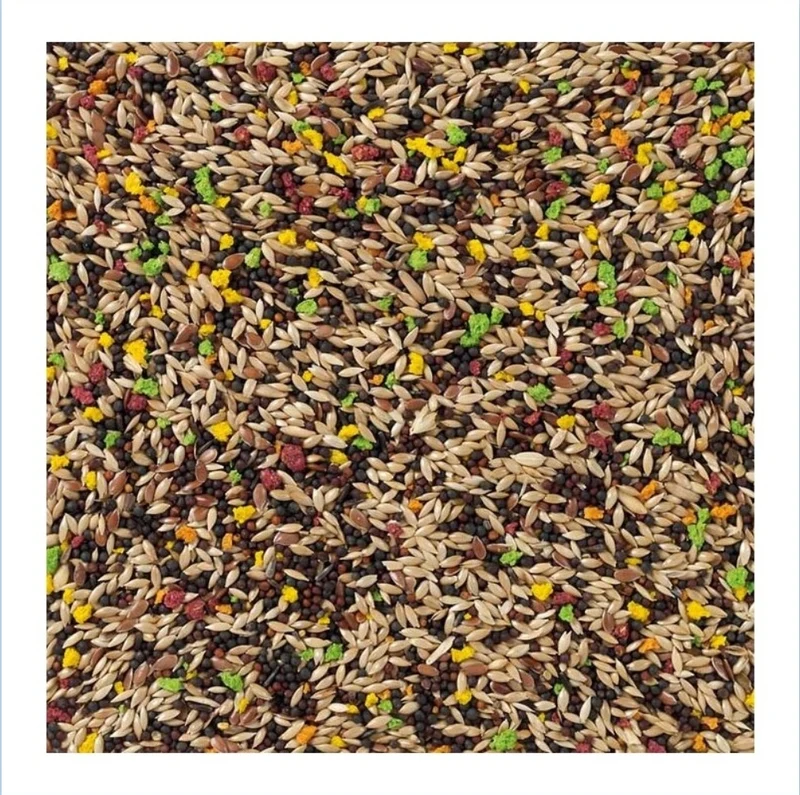 Kanarienvogel mit Früchten 20kg Bird-X