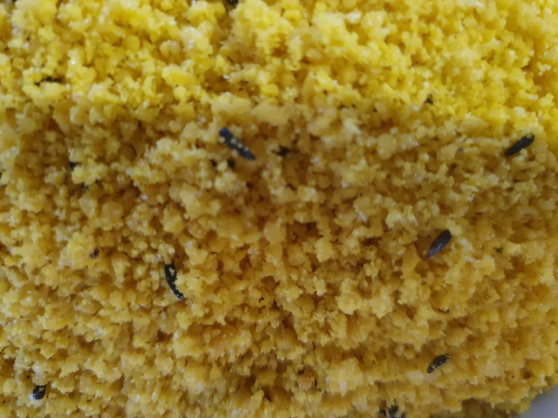 Giallo Morbido 1kg (mit Honig) - Pineta Zootecnisi