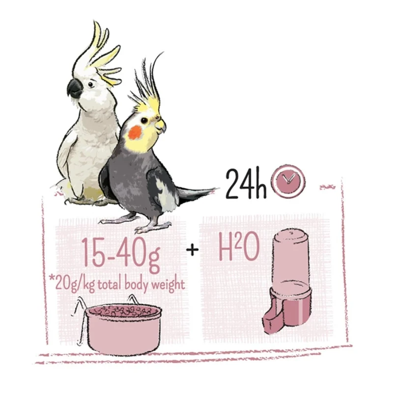 Reiner Großsittich & Kakadu 2kg - Witte Molen