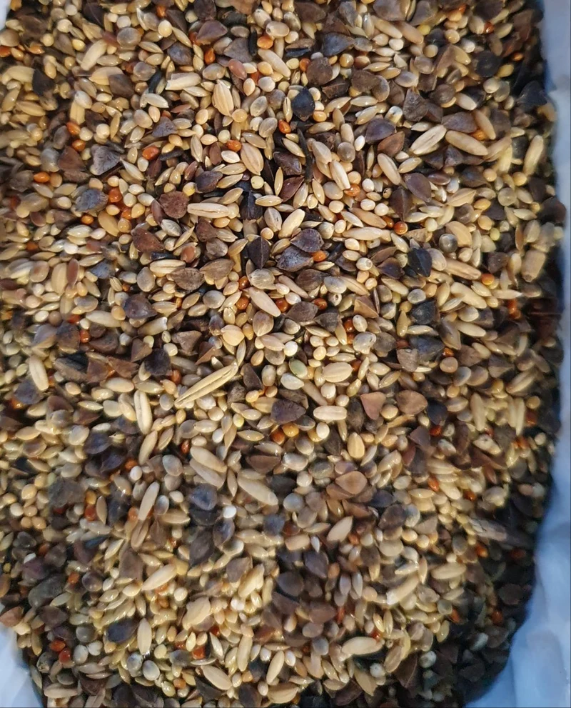 Deli Nature 71 Premium Agapornis 5kg (selbstverpackt)