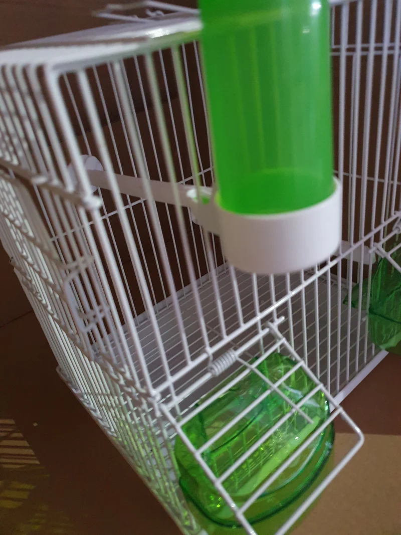 Transportkäfig / Grüner Singkäfig