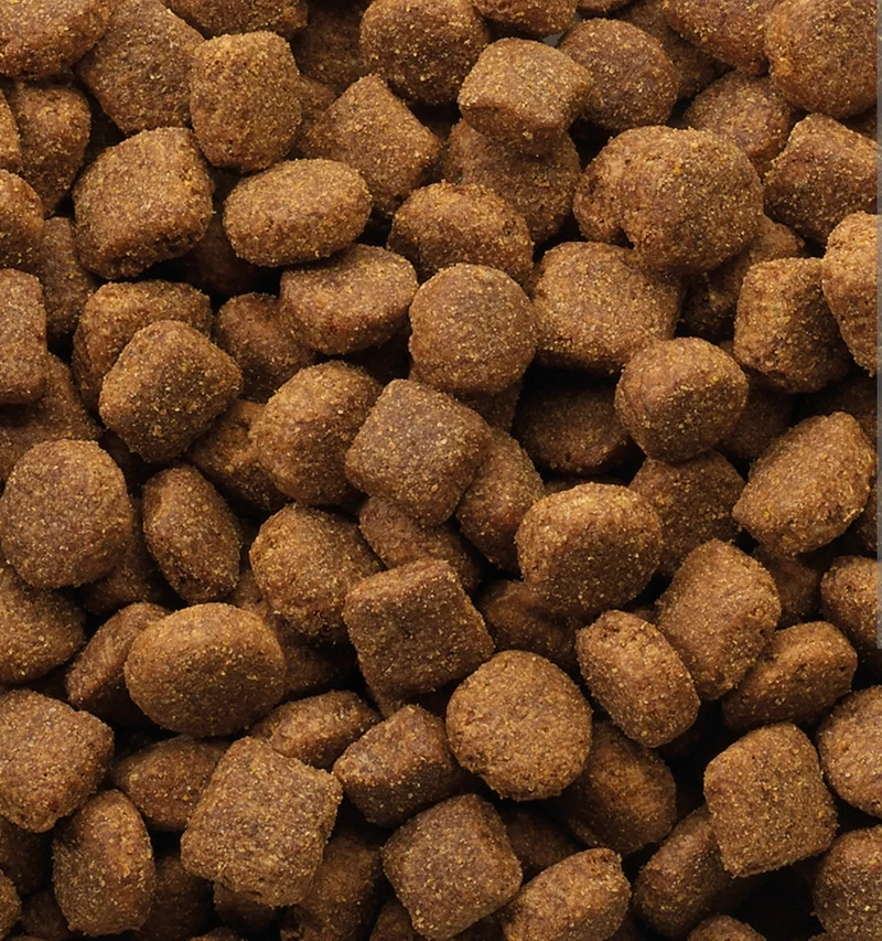 Classic Lamm & Reis Hundefutter 20 kg - Versele Laga