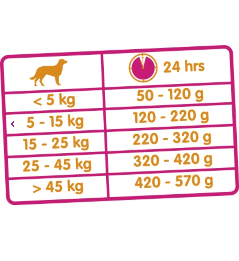 Classic Lamm & Reis Hundefutter 20 kg - Versele Laga