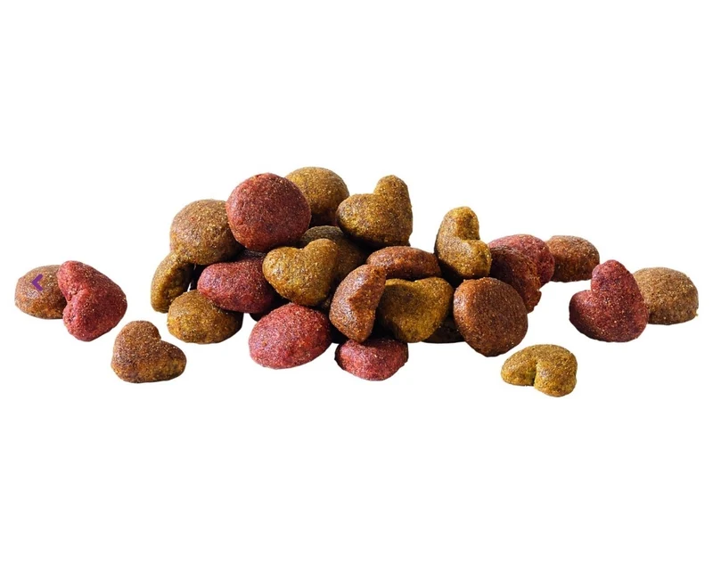 Happy Life Adult Lachs Hundefutter 2.5 kg - Versele Laga