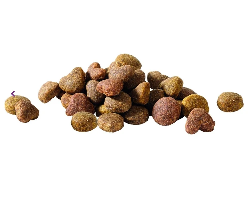 Happy Life Adult Hundefutter Huhn 12.5 kg - Versele Laga