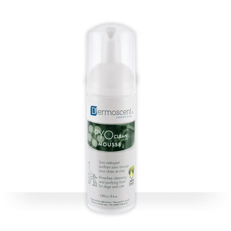 Dermoscent PYOCLEAN Mousse 150 ml - Champô seco para Cães e Gatos