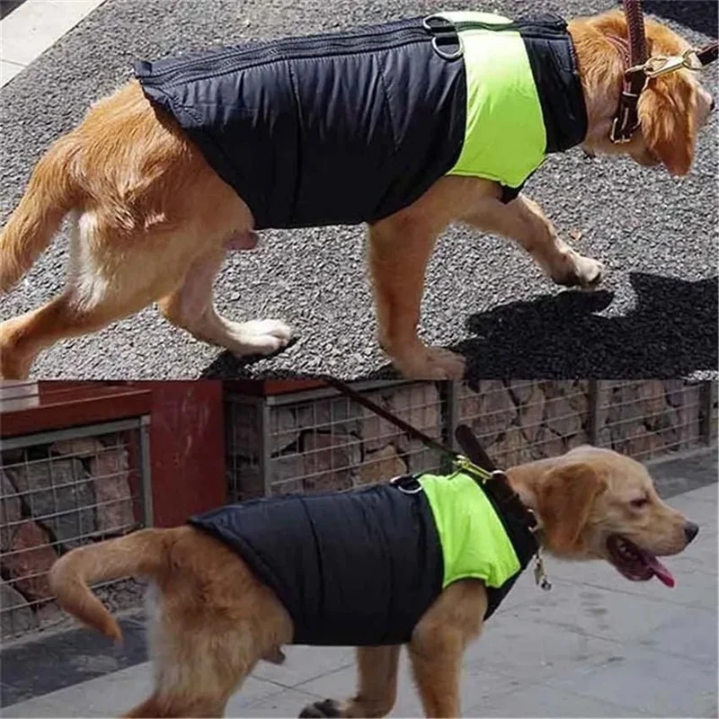 Casaco Protetor para Cães - Casaco de Inverno Impermeável (chuva)