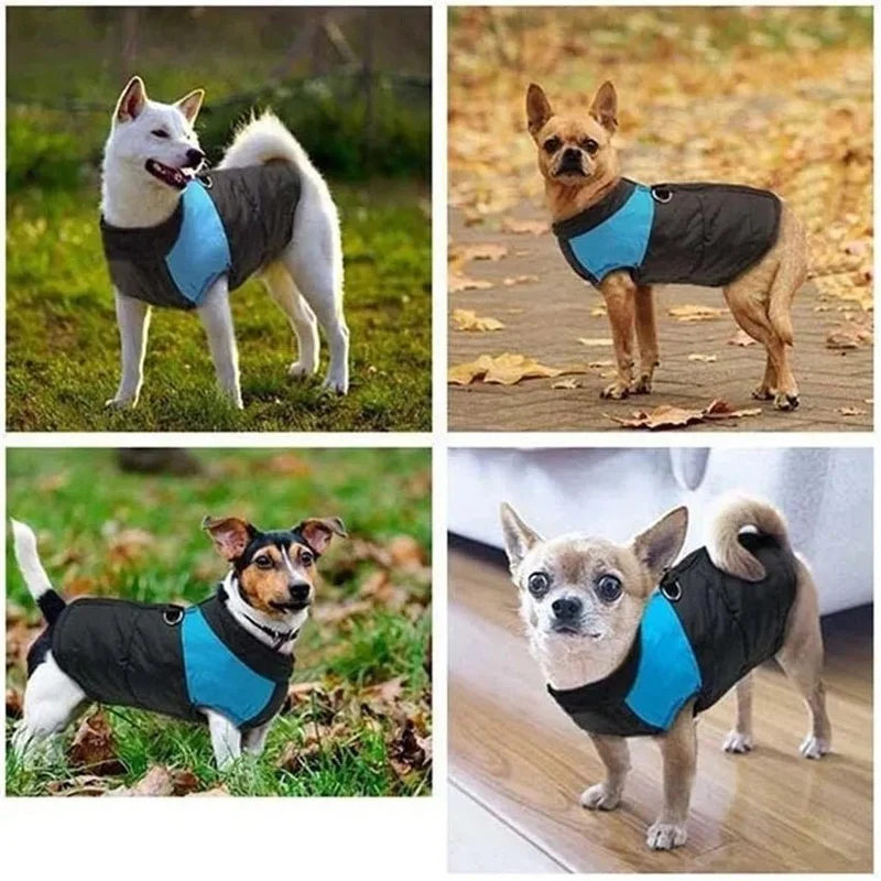 Casaco Protetor para Cães - Casaco de Inverno Impermeável (chuva)