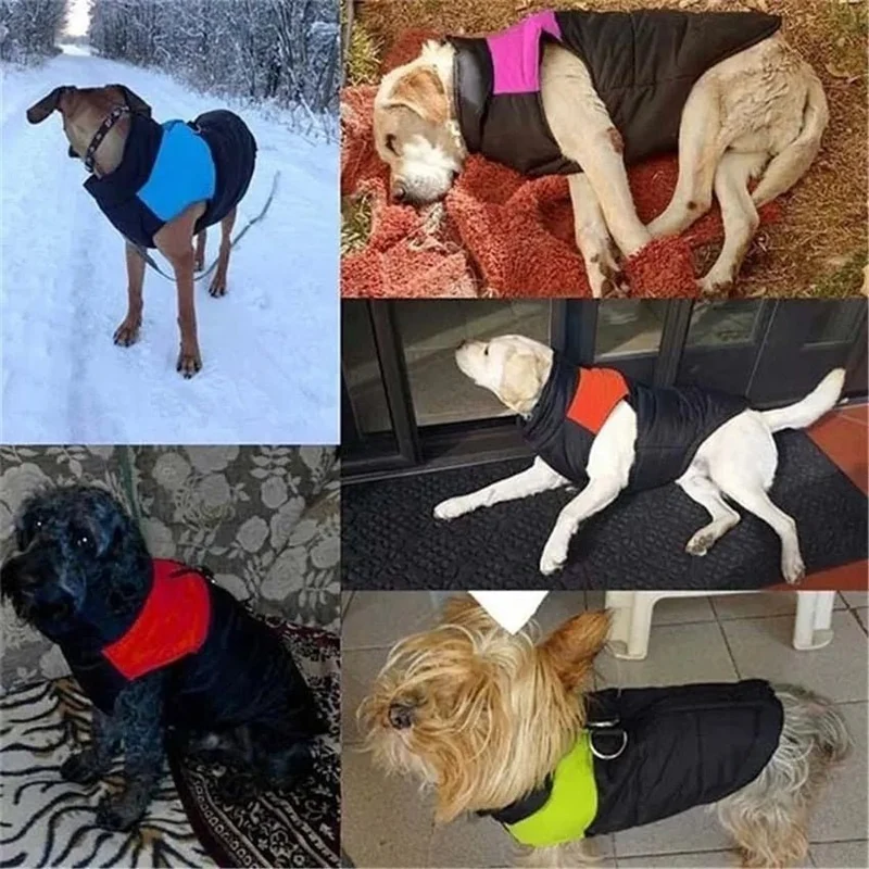 Casaco Protetor para Cães - Casaco de Inverno Impermeável (chuva)
