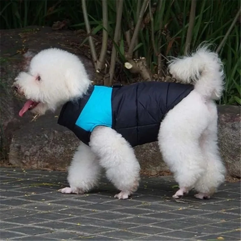Casaco Protetor para Cães - Casaco de Inverno Impermeável (chuva)