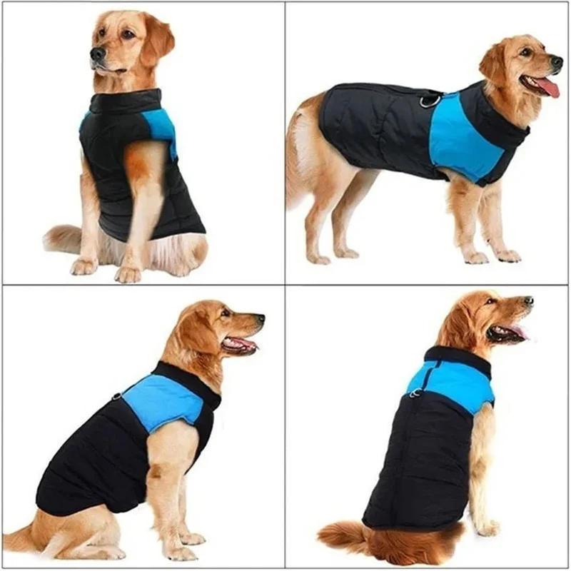 Casaco Protetor para Cães - Casaco de Inverno Impermeável (chuva)