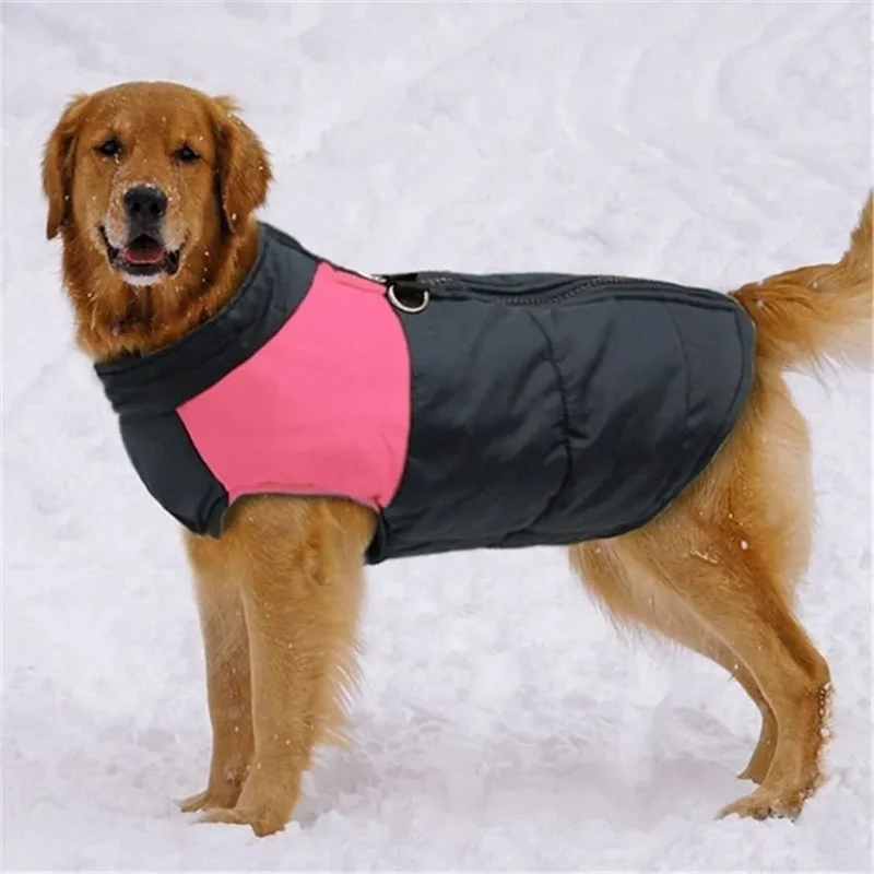 Casaco Protetor para Cães - Casaco de Inverno Impermeável (chuva)