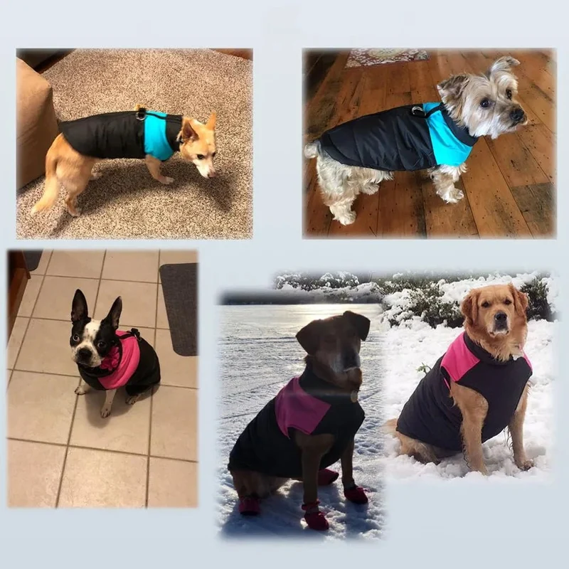 Casaco Protetor para Cães - Casaco de Inverno Impermeável (chuva)