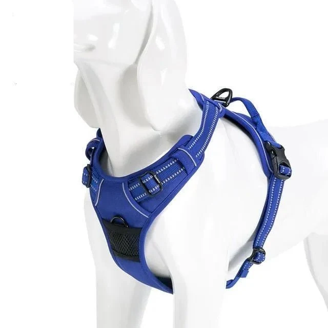 Truelove - Peitoral Almofadado para Cão em Nylon