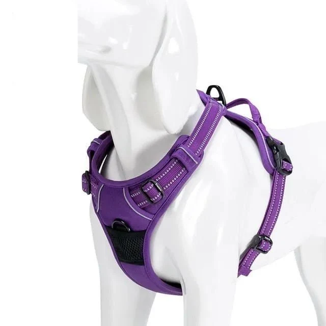 Truelove - Peitoral Almofadado para Cão em Nylon