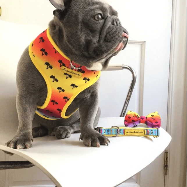 Peitoral Dupla Face California Dreamin' | Peitoral Versátil e Seguro | French Bulldog