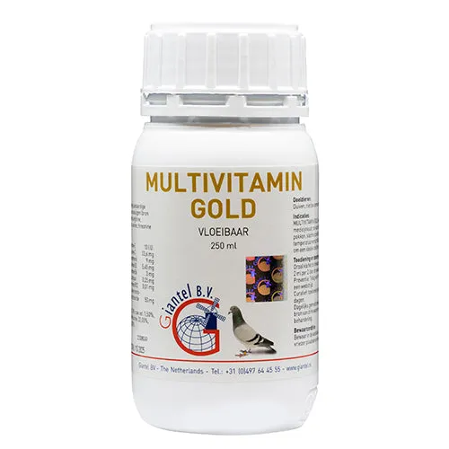 Multivitamin Gold 250 ml (extra konzentriert) Giantel