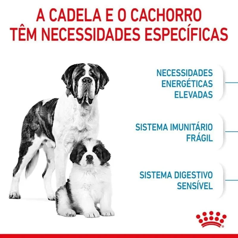 Royal Canin Pediatric Starter Puppy Giant Dog - Para Cachorros de Raça Gigante - 15 Quilos