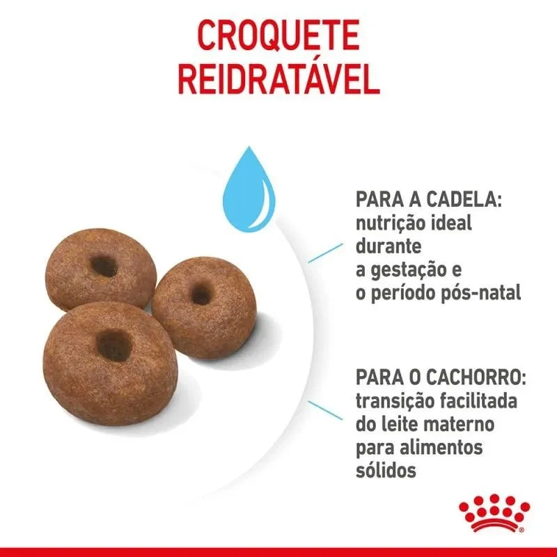 Royal Canin Pediatric Starter Puppy Giant Dog - Para Cachorros de Raça Gigante - 15 Quilos