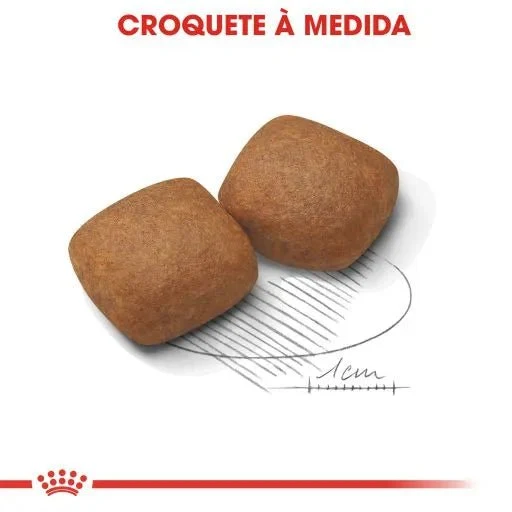 Royal Canin Junior Giant Dog (15 Kg)