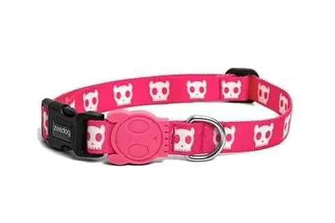 Coleira Pink Skull Zee.Dog (Cão)