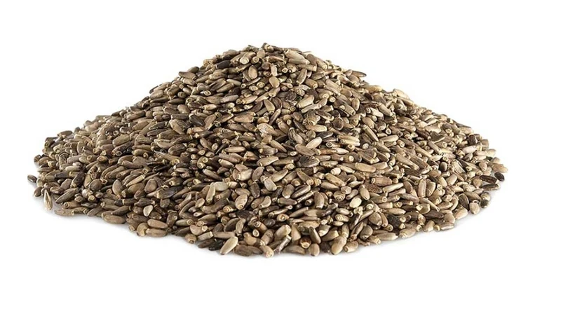 Mariendistelsamen 1 kg - Bird-X Grizo