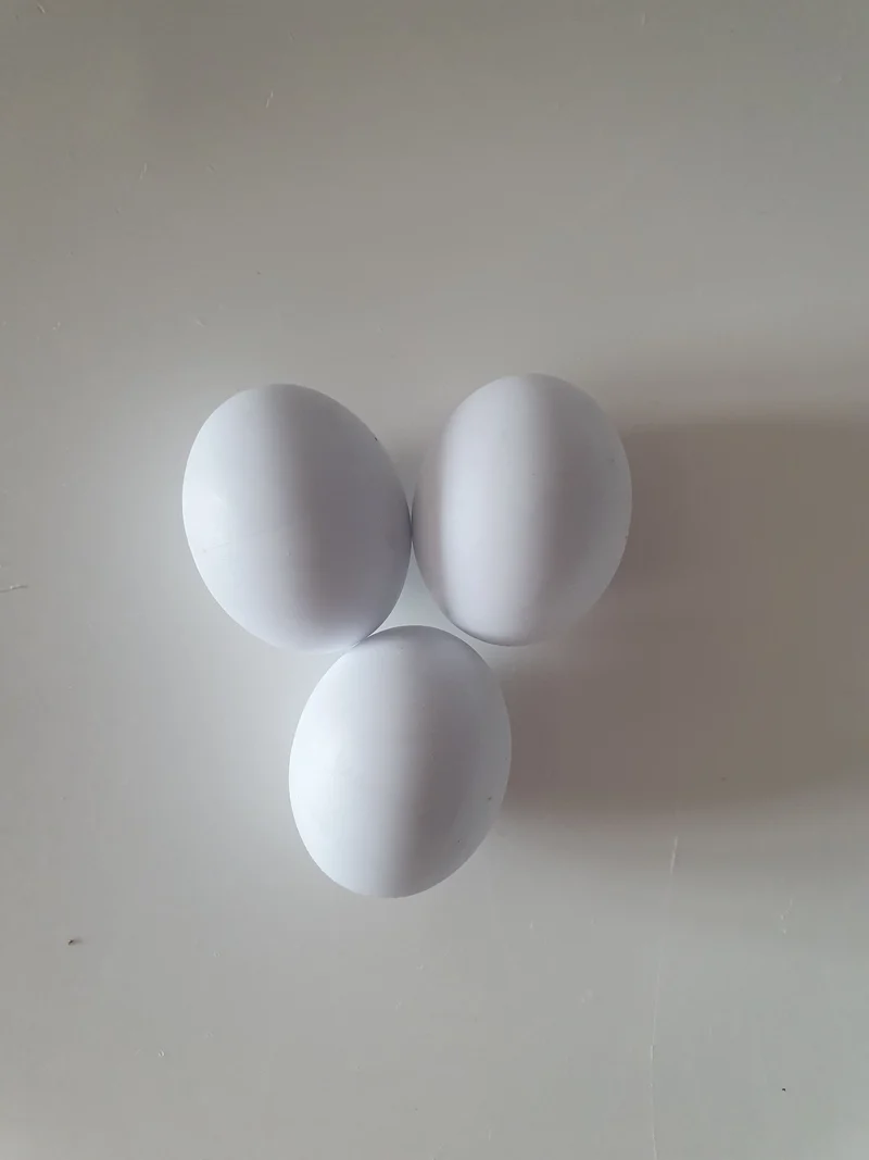 Großsittich Plastikei 3cm