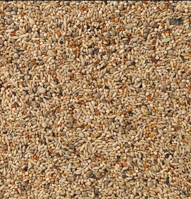 Nr. 67 Deli Nature Parakeet Breed 5kg (selbst verpackt)