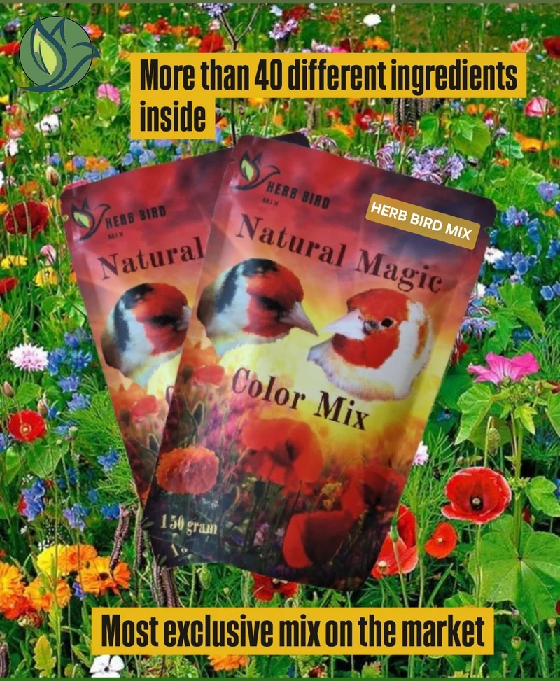 Natural Magic Color Mix (150 Gramm) – Kräuter-Vogel-Mix