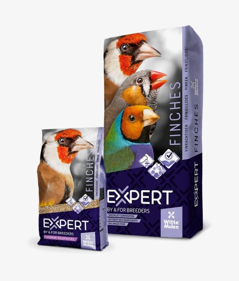 Expert Putter 2 kg – hochwertige Zusammensetzung
