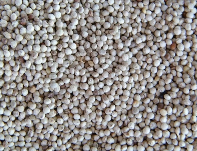 Perilla Weiß 1kg
