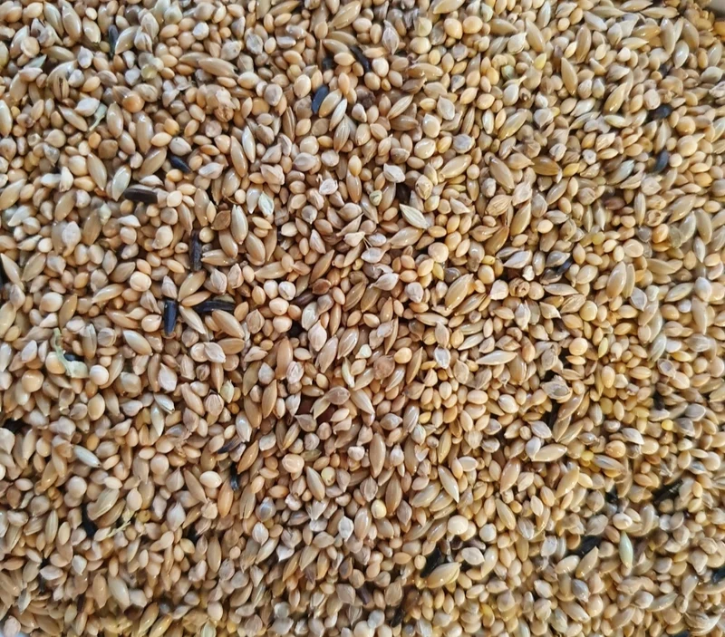 Deli Nature 42 Zebrafinken Supréme 5kg (selbstverpackt)