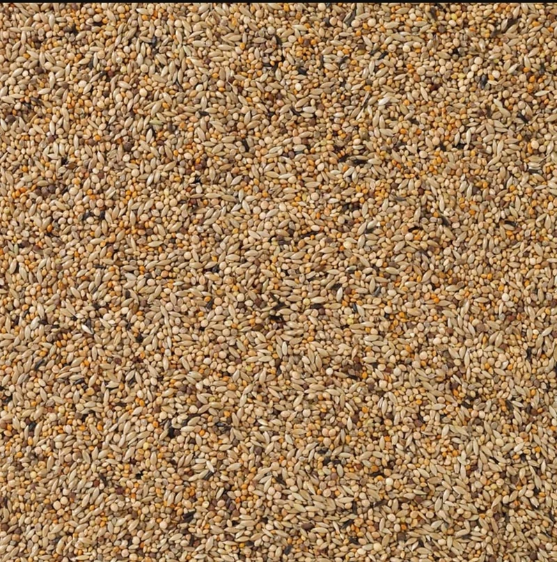 Deli Nature 84 APV Goulds 5kg (selbstverpackt)