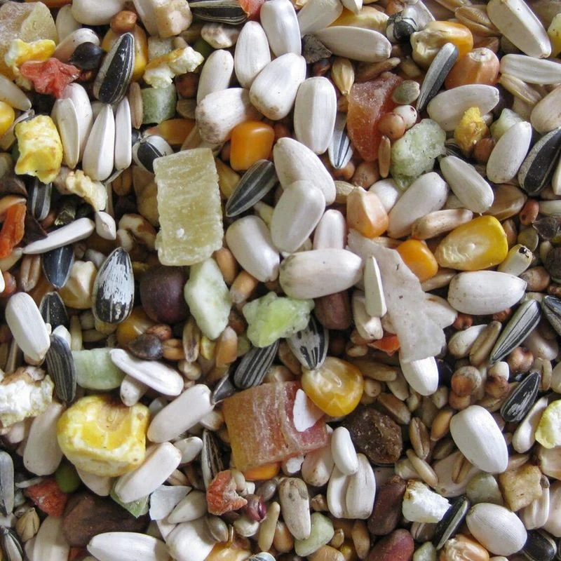 Deli Nature 64 Parrot Supreme Frucht 5kg