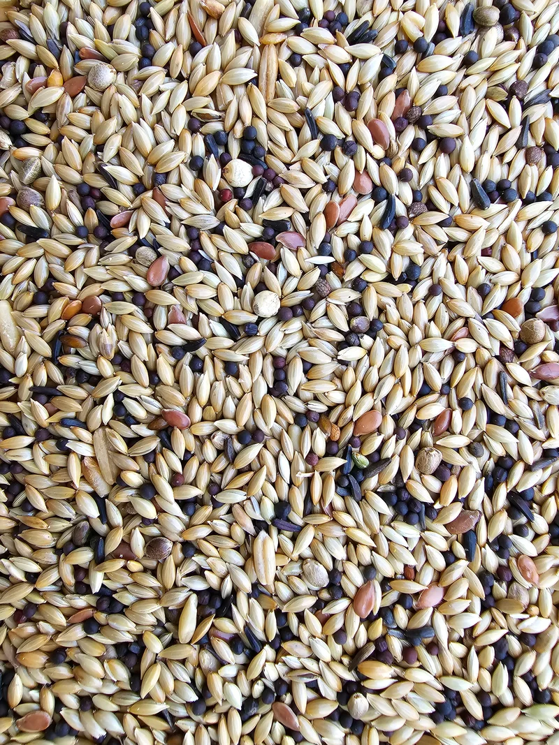Deli Nature 55 - Kanarie Supréme - 5kg