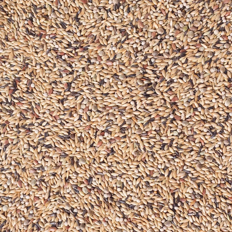 Deli Nature 54 - Kanarienvogelzucht mit weißer Perilla - 5kg