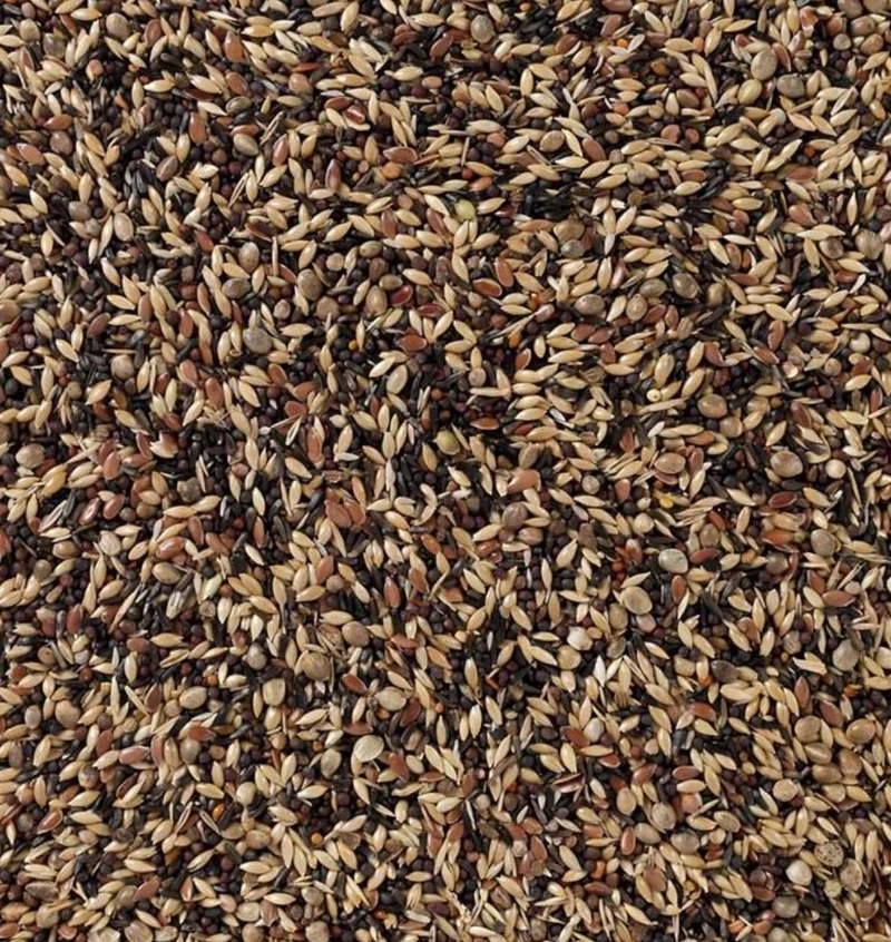 Deli Nature 58 Zeisig und Stieglitz Supreme 5kg