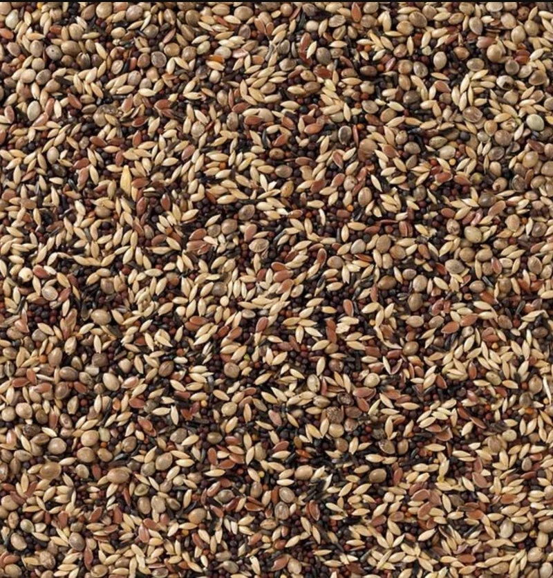 Deli Nature 48 Zeisig und Stieglitz 5kg