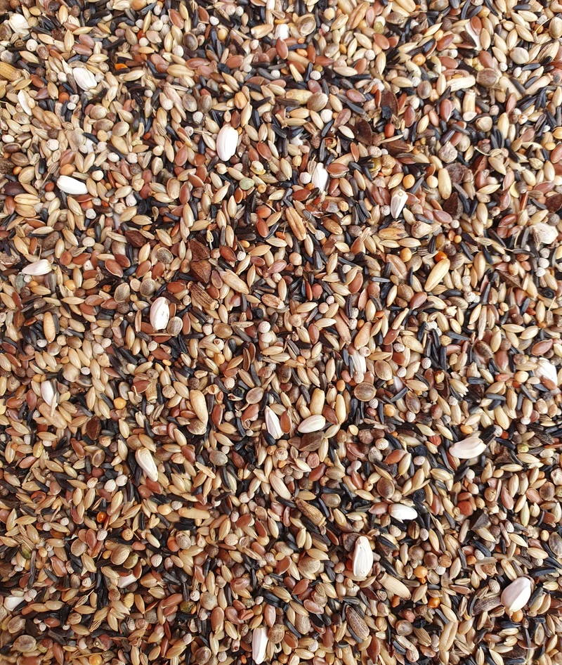 Deli Nature 83 Europäische Vögel ohne Raps 5kg
