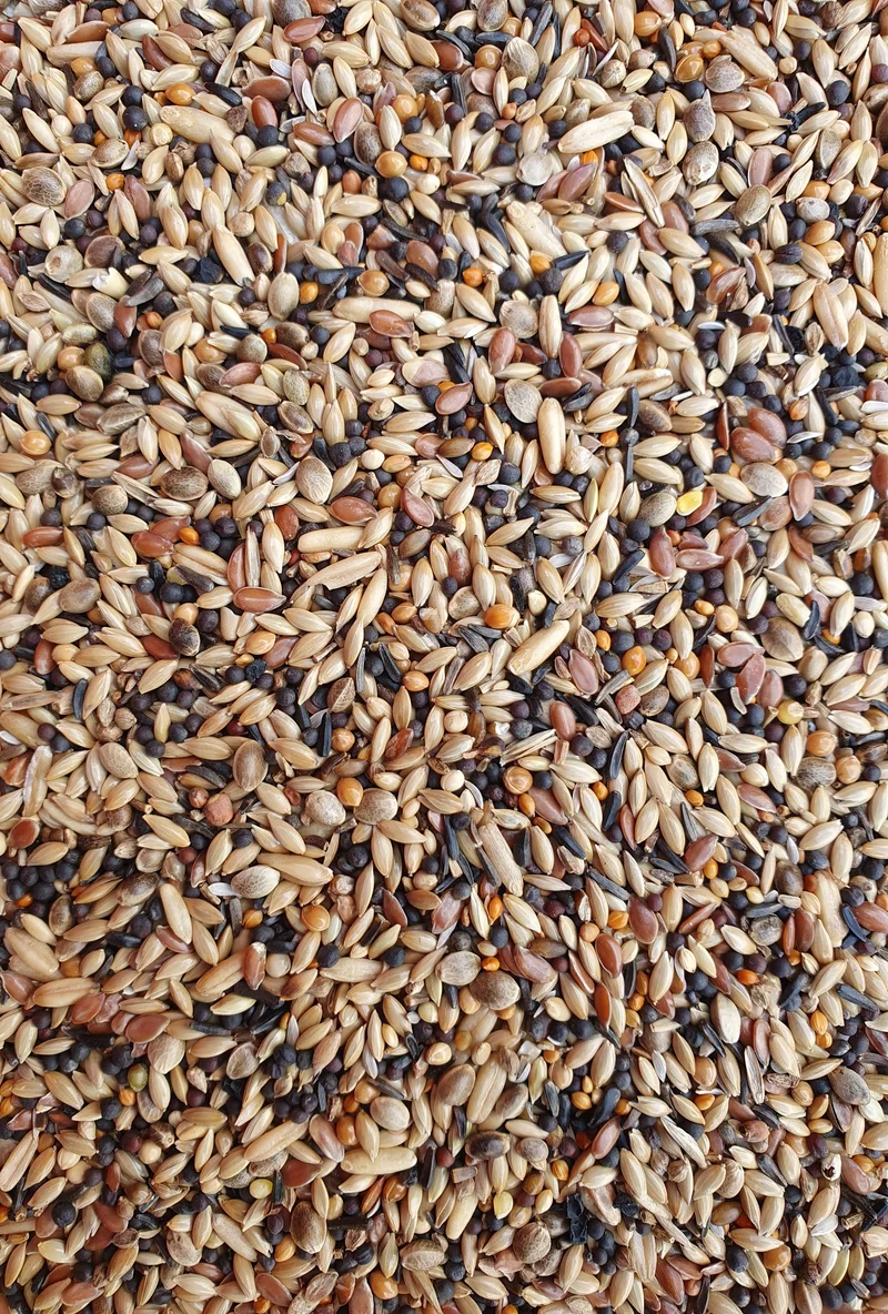 Deli Nature 91 Europäische Vögel 5kg